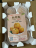 京鮮生山東煙臺萊陽(yáng)秋月梨凈重3斤單果300g  新鮮水果 源頭直發(fā)包郵 曬單實(shí)拍圖