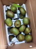 京鮮生 四川紅心獼猴桃24粒裝 單果90-110g 新鮮水果 源頭直發(fā)包郵 曬單實(shí)拍圖