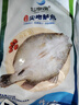 仙泉湖三去尖吻海鱸魚(yú)1斤單條冷凍凈膛金目鱸肉厚 海鮮水產(chǎn)生鮮食材 曬單實(shí)拍圖
