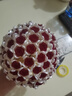 識(shí)聯(lián)手工玫瑰花束diy材料包全套仿真不凋謝手捧花自制作禮物送女朋友 【長(zhǎng)長(zhǎng)久久】99朵紅玫瑰材料包 全套工具材料包+禮袋+賀卡+燈串 曬單實(shí)拍圖