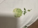 IEF/愛依服時尚套裝2025夏季新款法式溫柔小女人氣質(zhì)百搭上下套裙 曬單實拍圖