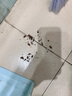 蟲(chóng)小將滅蟑螂藥特效強(qiáng)力全窩端蟲(chóng)卵雙殺蟑螂殺蟲(chóng)劑呋蟲(chóng)胺驅(qū)蟲(chóng)除蟲(chóng)噴霧劑 曬單實(shí)拍圖