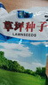 花友秀 草坪種子四季青護(hù)坡草籽庭院耐寒綠化工程耐寒耐旱京四季青K88】 曬單實(shí)拍圖