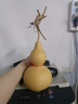 藝誠軒天然葫蘆風(fēng)水擺件掛件大號開(kāi)口帶龍頭文玩小葫蘆化解朱砂客廳掛放 【可擺可掛 買(mǎi)2贈1】10-12cm開(kāi)口 曬單實(shí)拍圖