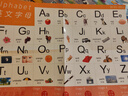PIYO PEN小雞球球32GWIFI點(diǎn)讀筆經(jīng)典認(rèn)知小百科早教機(jī)男孩女孩玩具 曬單實(shí)拍圖