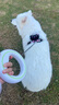 萌王星狗狗牽引繩中大型犬遛狗繩貓咪小犬狗繩柯基泰迪寵物狗鏈牽狗繩 Air-白/熒光綠（夜間熒光） 牽引繩（牽引繩60斤內寵物適用) 曬單實(shí)拍圖