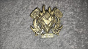 匯智之城戰錘40k星際戰士2徽章 星辰鑄造戰錘周邊星際戰士戰團金屬胸針-HY 火蜥蜴胸針 默認 曬單實(shí)拍圖