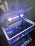 技研精工（JIYJNJINGGONG）魚缸客廳小型家用帶增氧桌面超白玻璃過濾免換水生態(tài)懶人魚缸240 曬單實拍圖