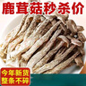 鹿茸菇干貨鹿茸菌500g毛重古田脆脆菇新鮮土特產(chǎn)煲湯食材香菇 【當季新貨】農家鹿茸菇 500克 曬單實(shí)拍圖
