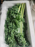 羽衣甘藍(lán)新鮮生鮮蔬菜嫩葉甘蘭芥藍(lán)西餐沙拉榨汁減肥減脂 羽衣甘藍(lán)減脂嘗鮮裝1斤 曬單實拍圖