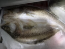 鮮京采三去海鱸魚3斤/3條 生鮮魚類 白蕉鱸魚地標(biāo) 無冰凈重3斤 源頭直發(fā) 曬單實(shí)拍圖