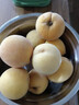 三萌果蔬正宗蒙陰黃桃 山東當(dāng)季新鮮黃毛桃現(xiàn)摘桃子水果送禮 精選5斤裝【單果100g+】凈重4.5斤 曬單實(shí)拍圖
