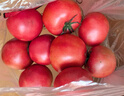 綠行者（GREER）粉番茄凈重3斤 單果130g+ 約8-11枚 西紅柿 源頭直發(fā) 曬單實拍圖