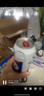 kronenbourg 1664桃紅啤酒500ml*12罐整箱裝精釀啤酒喜酒蘇超禮盒裝 曬單實(shí)拍圖