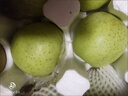 京鮮氣青森王林蘋(píng)果新鮮多汁孕婦水果 冰糖心雀斑甜脆蘋(píng)果整箱禮盒 精選3斤【普通裝】 曬單實(shí)拍圖
