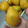 京喜加現(xiàn)采熱帶水果小臺農(nóng)芒果新鮮  輕微花皮半熟果發(fā)貨 臺芒5斤單果100克以上 曬單實拍圖