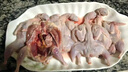 順豐鵪鶉母鵪鶉肉冷凍活體現殺鵪鶉白條燉湯燒烤生骨肉鵪鶉10只裝 20只鵪鶉【3兩左右/只】 曬單實(shí)拍圖