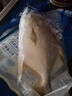 翔泰 海南大規格金鯧魚(yú)550g1條 海魚(yú) 生鮮魚(yú)類(lèi) 火鍋 海鮮水產(chǎn) 中秋 曬單實(shí)拍圖