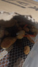 淘歌魚(yú)缸氧氣泵養(yǎng)魚(yú)增氧泵低音小型家用魚(yú)缸增氧打氧機(jī)AP908（2.5w) 曬單實(shí)拍圖