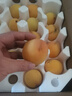 三萌果蔬正宗蒙陰黃桃 山東當(dāng)季新鮮黃毛桃現(xiàn)摘桃子水果送禮 精選5斤裝【單果100g+】凈重4.5斤 曬單實(shí)拍圖