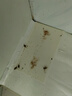 綠葉張綠葉蟑螂粘板屋捕捉蟑螂器蟑螂貼粘紙家用滅蟑螂藥20張 曬單實(shí)拍圖