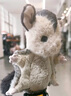 Jellycat洛利蜜袋鼯小飛鼠毛絨玩偶玩具2025秋冬新品生日新婚禮物 褐色 One Size 曬單實(shí)拍圖
