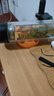 哈爾斯（HAERS）玻璃杯男女水杯雙層隔熱家用帶過(guò)濾網(wǎng)透明辦公室泡茶杯 雅黑【破損補(bǔ)發(fā)】 300ml 曬單實(shí)拍圖