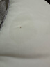 CROWN枕頭護頸椎枕頭芯深度睡眠夏季家用午睡枕星級酒店枕頭枕芯一對裝 曬單實(shí)拍圖