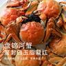 【活蟹】鮮京采 遼寧盤(pán)錦河蟹 全母8只 2.3-2.6兩/只 源頭直發(fā) 曬單實(shí)拍圖