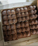 鮮京采提拉米蘇蛋糕【新款】400g/6塊裝冰淇淋雪糕零食糕點茶歇教師節(jié) 曬單實拍圖