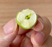 沃江源【加冰順豐發(fā)貨】湖北新鮮水果蓮蓬洪湖蓮蓬嫩蓮蓬太空蓮蓬嫩甜鮮 2斤 曬單實拍圖