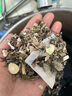 維特絲泡腳藥包祛濕脾胃虛寒生姜花椒艾草艾葉紅花足浴包男女士三伏天 曬單實拍圖