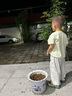 迷你巴拉男童女童寶寶褲子夏季涼感長褲防蚊褲UPF50防曬抖抖褲 曬單實拍圖