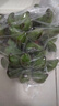 粵迎廣西小米蕉【青蕉發(fā)貨收到需催熟】芭蕉香產(chǎn)地直發(fā)甜粉糯現(xiàn)摘現(xiàn)發(fā) 5斤精選果【香甜軟糯】?jī)?.5斤 曬單實(shí)拍圖
