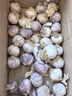 橙尚宮云南紫皮獨頭蒜2025新蒜大蒜頭新鮮農家蒜頭干蒜當季蔬菜生鮮 特選特大果(單果35-40mm) 5斤 曬單實(shí)拍圖