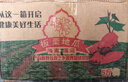 正宗海南澄邁富硒橋頭地瓜中秋禮盒板栗紅薯超市蔬菜京東包郵 橋頭地瓜5斤含箱 橋頭地瓜（中大果） 曬單實(shí)拍圖