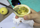 天色5個(gè)A4文件夾夾板橫式折頁(yè)會(huì )議夾秘書(shū)夾資料夾試卷夾簽字簽約呈閱夾 辦公用品 TS-10001五色套裝 曬單實(shí)拍圖