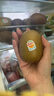 佳沛（zespri）新西蘭  陽光金奇異果巨大果22粒原箱 單果重約144-175g 獼猴桃 曬單實拍圖