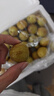 京鮮生  陜西大荔冬棗 凈重2斤單果12g+  源頭直發(fā)【搜生鮮館】 曬單實(shí)拍圖
