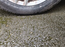 佳通(Giti)輪胎185/55R15 82V  221 適配 嘉年華/長安CX20/馬自達2 曬單實拍圖