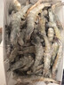 蝦有蝦途青島大蝦無(wú)冰新鮮海蝦白蝦鮮活冷凍大蝦批發(fā)3.6斤凈重 青島大蝦 3.6斤(凈重)  只只分離 18-20cm【超大蝦皇】無(wú)冰 曬單實(shí)拍圖