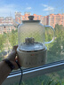 小熊（Bear）全玻璃養生壺 養生杯 辦公室多功能?chē)鸂t煮茶花茶壺0金屬全玻璃壺體恒溫壺水壺電熱燒水壺 YSH-P10Q7【全玻璃壺體】 1L 無(wú)濾網(wǎng) 曬單實(shí)拍圖