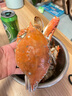 舟山梭子蟹鮮活特大野生大螃蟹新鮮冷凍海鮮水產(chǎn)海蟹飛蟹白蟹順豐 7-9兩/只【5斤凈重 特大肥壯】 曬單實(shí)拍圖