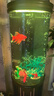 hailiy2025新款客廳圓柱形魚(yú)缸免換水亞克力懶人魚(yú)缸底部過(guò)濾安全魚(yú)缸 圓柱形奢華版【專(zhuān)業(yè)底濾】 415X415X1450MM 曬單實(shí)拍圖