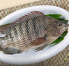 翔泰海南三去羅非魚(yú)/海南鯛1400g/共4條免處理 生鮮魚(yú)類(lèi) 海鮮水產(chǎn)中秋 曬單實(shí)拍圖