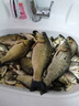 谷蜀香過(guò)江風(fēng)顆粒餌正品釣魚(yú)餌料強效誘魚(yú)直接掛鉤鮮丹顆粒超濃腥 三瓶【大小通殺 瘋狂上魚(yú)】 曬單實(shí)拍圖