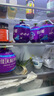 三麟100%NFC椰子水330ml*24瓶富含天然電解質(zhì)泰國原裝進口椰青果汁 曬單實拍圖