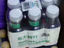 農夫山泉 東方樹(shù)葉青柑普洱茶335ml*6 曬單實(shí)拍圖
