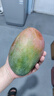 【新鮮上市】正宗攀枝花凱特芒果新鮮水果 帶箱2斤200g+ 曬單實(shí)拍圖