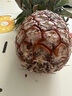 金鉆鳳梨17號海南新鮮水果無(wú)眼菠蘿熱帶水果當季 凈重3斤中果 單果650g起 約2-3個(gè) 曬單實(shí)拍圖